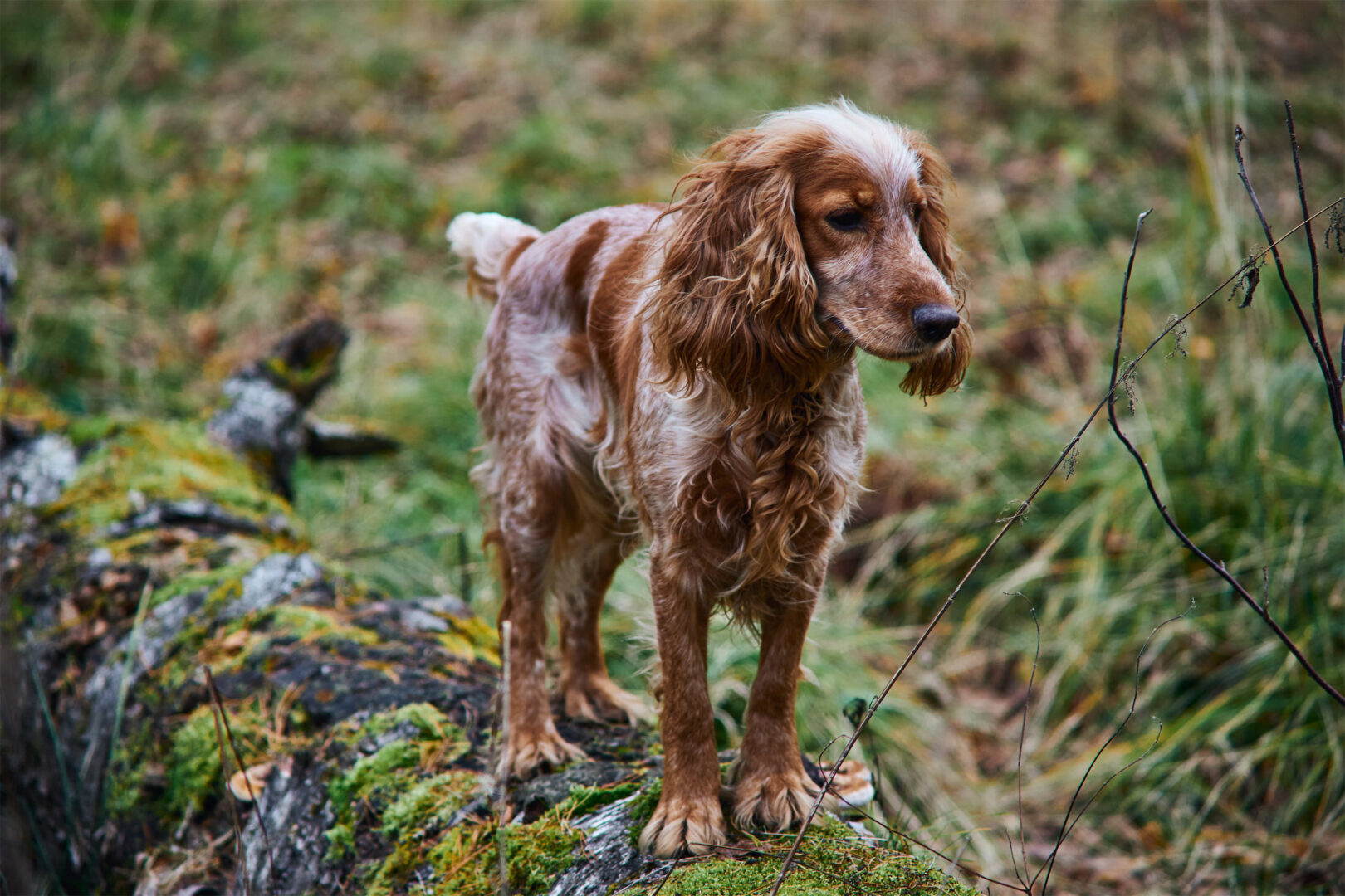 AdobeStock_241890372-web