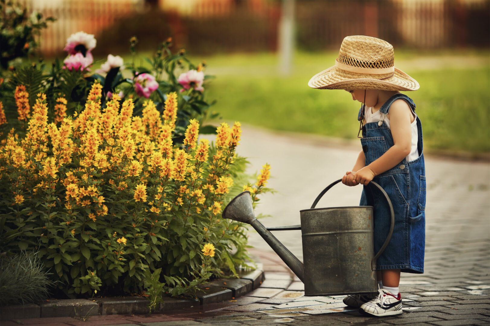 AdobeStock_56071854-web