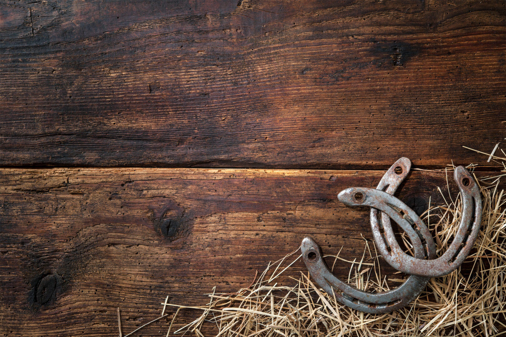 AdobeStock_89777356-web